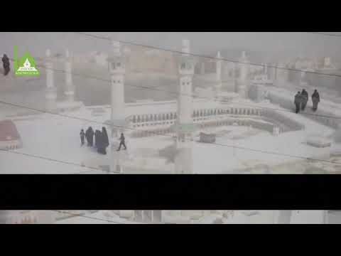 Razlike u mišljenju - šejh Hamza Yusuf