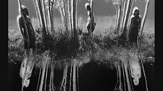 Blade Trinity   weapons of mass distortion