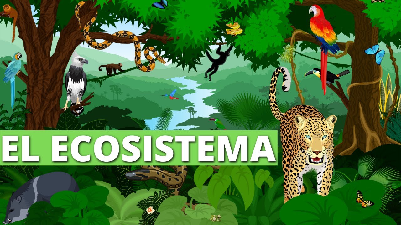 What is an ecosystem? Types, components and examples🏞️🌊🏜️