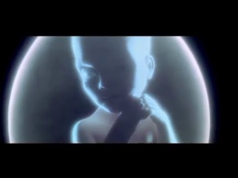 Cr7z - Kein Sieg (Neo gegen Smith) 2007