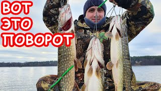 Рыбалка в беларуси где ловить щуку