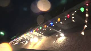 A Little Rain and A Little Auk