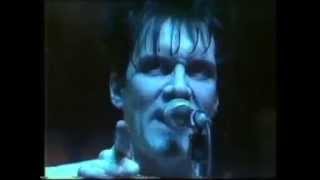 The Cramps - Hot Pearl Snatch (Official Live Performance)