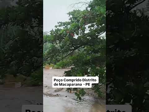 Poço Comprido Distrito de Macaparana PE / muita Chuva 🌧️ #seescrevenocanal #curtirecompartilhar