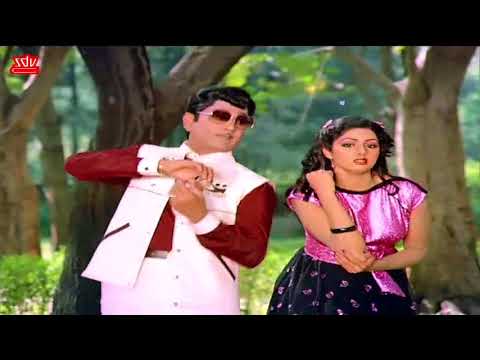 Hey Navvinchi Kavvinchu Video Song - Muddula Mogudu Exclusive song | Phoenix Telugu