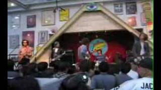 Albert Hammond, Jr. - In Transit - Amoeba Records