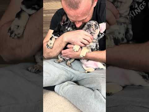Video 1