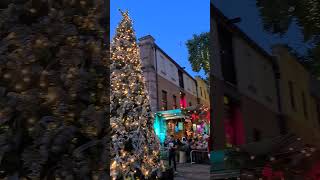 Christmas in Sydney, Australia 🇦🇺 🎄🎄🎄 #sydney #travel #australia #chri