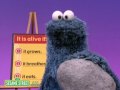 Sesame Street Who S Alive