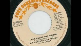 THE VOICES OF EAST HARLEM - I like having you around - JUST SUNSHINE RECORDS