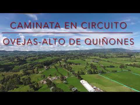 Caminata Llano de Ovejas