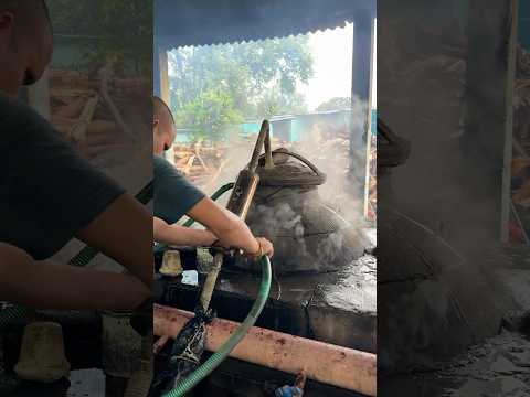 Amazing Full Process Of Kewda Rooh Making in Mega Factory #shorts