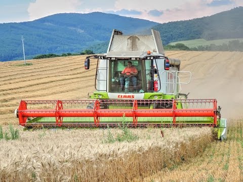 PD Dobrá Niva - Žatvy 2016 - CLAAS Lexion , NEW Holland, Tatra, JCB Fastrac