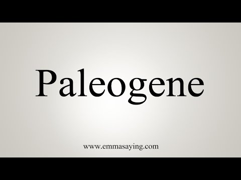 How To Say Paleogene