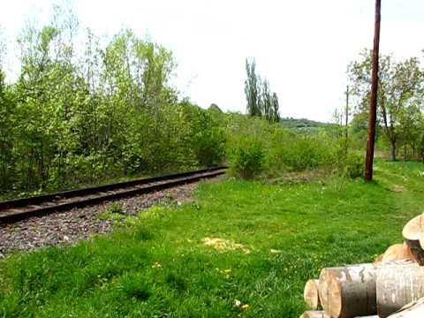 Via Terra Spedition tren PM Holod - Vascau