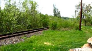 preview picture of video 'Via Terra Spedition tren PM Holod - Vascau'