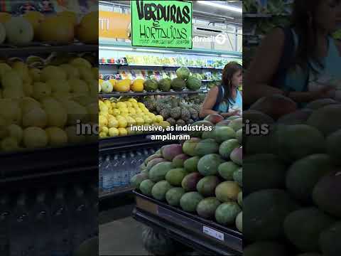 Mercado interno impulsiona indústria de alimentos e bebidas no Brasil em 2025