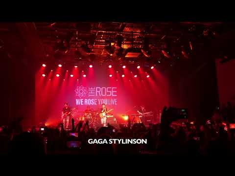 191114 The Rose - Red Fancam (Amsterdam, Netherlands)