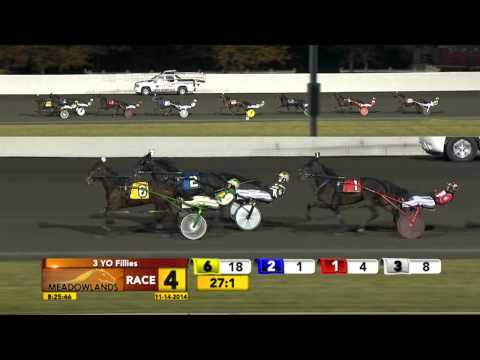 Breeders Crown Elimination - Gallie Bythe Beach - November 14, 2014