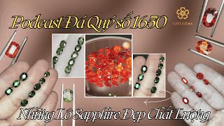 Podcast Đá Quý số 1650: Những Lô Sapphire Đẹp Chất Lượng