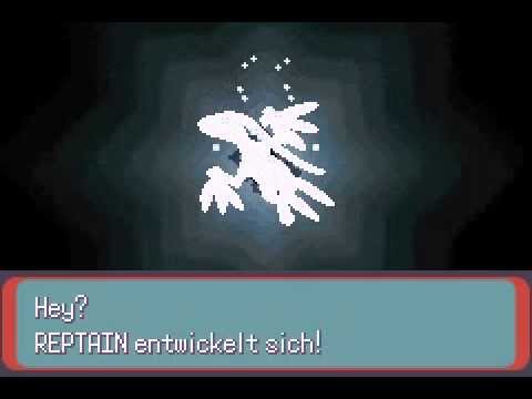 Reptain entwickelt sich !