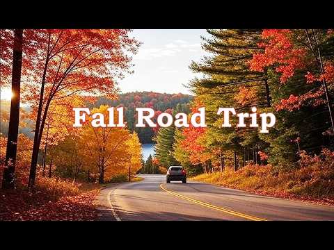 Fall Road Trip - Algonquin Park Autumn Beautiful Foliage and Places to Visit | 4K