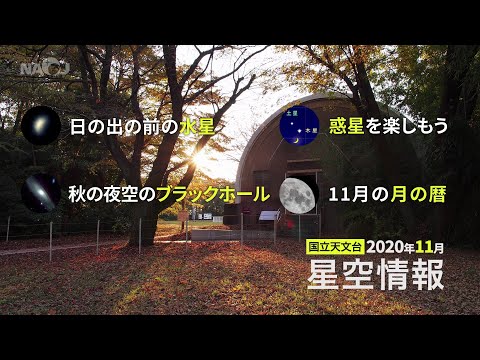 「不気味さ」: ニュージーランドの天体現象が大きな驚きを生み出す