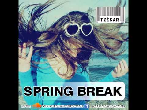 TZESAR - Spring Break (Original Mix) // new funky disco house July 2012