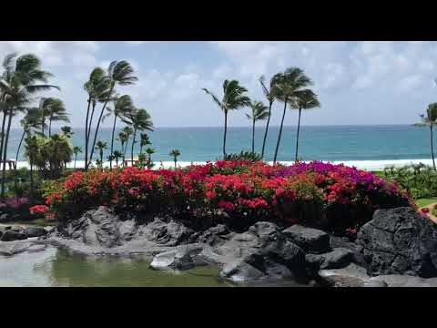 Grand Hyatt Kauai | Brief Review
