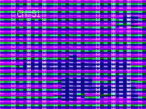 DEF CON 12 Hacking Conference By FX - Halvar - Take it from here - Video