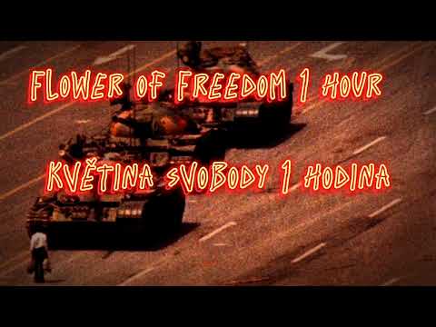 Flower of Freedom 1 hour / Květina Svobody 1 hodina #1hour #onehourvideo #FlowerofFreedom