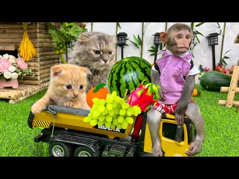 Bim Bim obediently harvests fruit to make fruit yogurt for Ody