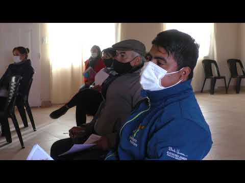 Alrededor de 20 talleres participativos revisarán la situación de los bosques nativos