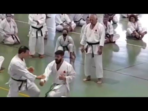 Tai Sabaki - Curso Inoue Shihan