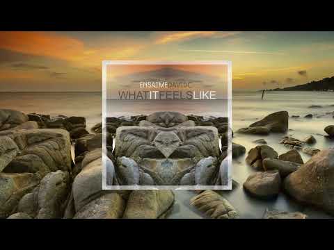 Ensaime, DavidC - What it feels like (Official Video)