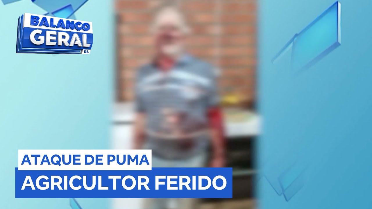 Puma ataca agricultor de 79 anos no norte de Rio Grande do Sul