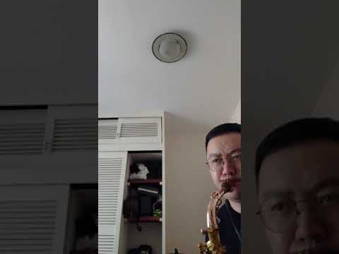 selmer model 26 vs yanagisawa A992