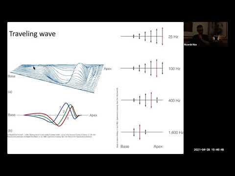 Perception 04/28/21 - Pitch Perception - NYU - Spring 2021 - Ricardo Max