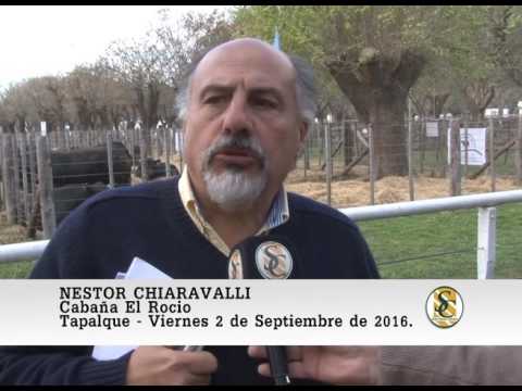 02-09-16 Nota Nestor Chiaravalli - Cabaña El Rocio y La Soñada - Tapalque.