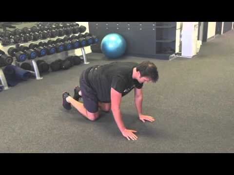 4 Point Alternate Arm Leg Raise