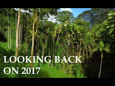 DaneWithADrone - Looking back on 2017 - an epic drone year