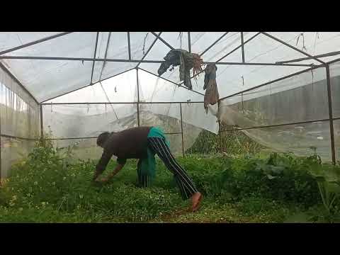 Yo honi tarika ❤️❤️