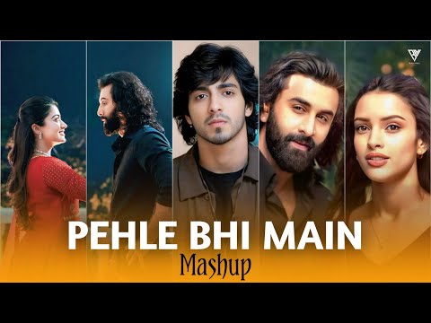Arijit Singh - Satranga - Vishal Mishra - Pehle Bhi Main - Misc Mashups