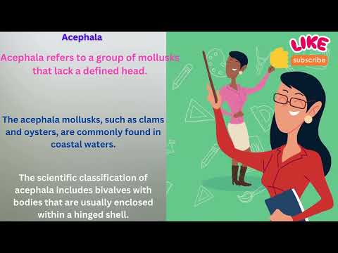 Acephala Meaning in English With Example
