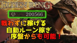 【エルデンリング】戦闘無しでルーンが大量に稼げる!!序盤からも可能な経験値稼ぎ場所【ゆっくり解説】