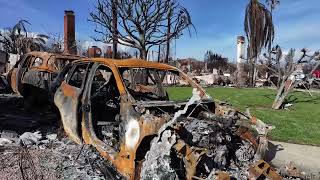 Pacific Palisades Fire Damage