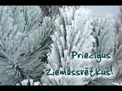 "Aijā, žūžū, lāča bērni" - Andrei Pushkarev (vibraphone), Edgars Saksons (percussion)