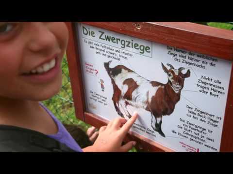 Schulklassen am Pfänder