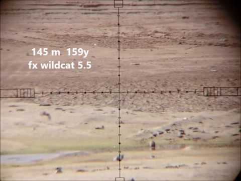 fx wildcat 5.5   145 meters 159 yards