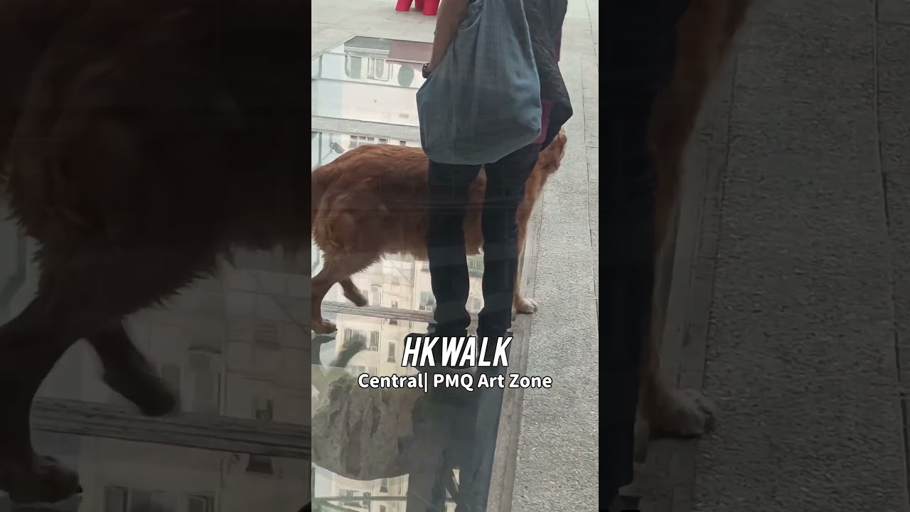 YouTube Short thumbnail